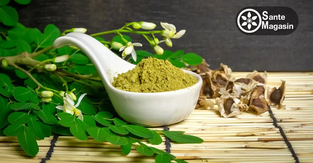 Maladies traitées par l'arbre de Moringa