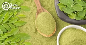 moringa-المورينجا-مورينجا-فوائد المورينجا-عشبة المورينجا-فواءد المورينجا-شجرة المورينجا-moringa maroc-moringa prix maroc-نبتة المورينجا-عشبة مورينجا-فوائد المورينجا للنساء-أضرار المورينجا-فوائد عشبة المورينجا-فوائد مورينجا-ماهي المورينجا-اوراق المورينجا-المورينجا محمد الفايد-شاي المورينجا-فوائد المورينجا للاعصاب-بذور المورينجا-شجرة مورينجا-مورينجا فوائد-فوائد المورينجا للرجال-طريقة استعمال المورينجا-نبات المورينجا-فوائد شجرة المورينجا-زيت المورينجا-طريقة استخدام المورينجا-شكل شجرة المورينجا-طريقة استخدام عشبة المورينجا-moringa فوائد-حبوب المورينجا-فوائد حبوب المورينجا-المورينجا فوائد-فوائد المورينجا للبشرة-ماهي عشبة المورينجا-فوائد المورينجا للنوم-سعر عشبة المورينجا-فوائد المورينجا للتخسيس-كيف تاكل المورينجا-فوائد المورينجا للقولون-مورينجا عشبة-منافع المورينجا-فوائد شاي المورينجا-أضرار المورينجا على الكلى-طريقة استعمال المورينجا لمرضى السكر-فوائد اوراق المورينجا-عشبة المورينجا للسكر-كبسولات المورينجا moringa moringa prix maroc moringa maroc المورينجا