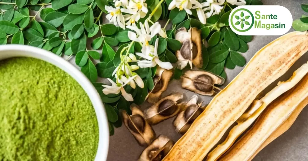 moringa-المورينجا-مورينجا-فوائد المورينجا-عشبة المورينجا-فواءد المورينجا-شجرة المورينجا-moringa maroc-moringa prix maroc moringa-المورينجا-مورينجا-فوائد المورينجا-عشبة المورينجا-فواءد المورينجا-شجرة المورينجا-moringa maroc-moringa prix maroc-نبتة المورينجا-عشبة مورينجا-فوائد المورينجا للنساء-أضرار المورينجا-فوائد عشبة المورينجا-فوائد مورينجا-ماهي المورينجا-اوراق المورينجا-المورينجا محمد الفايد-شاي المورينجا-فوائد المورينجا للاعصاب-بذور المورينجا-شجرة مورينجا-مورينجا فوائد-فوائد المورينجا للرجال-طريقة استعمال المورينجا-نبات المورينجا-فوائد شجرة المورينجا-زيت المورينجا-طريقة استخدام المورينجا-شكل شجرة المورينجا-طريقة استخدام عشبة المورينجا-moringa فوائد-حبوب المورينجا-فوائد حبوب المورينجا-المورينجا فوائد-فوائد المورينجا للبشرة